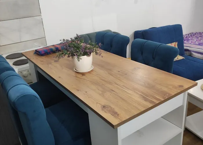 Prenociste Hrvic 아파트 *